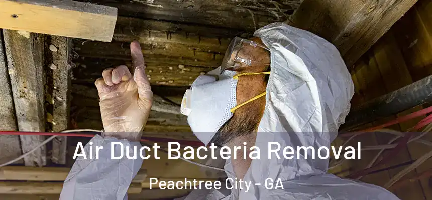  Air Duct Bacteria Removal Peachtree City - GA
