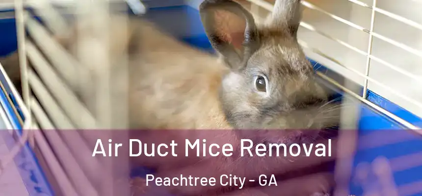  Air Duct Mice Removal Peachtree City - GA