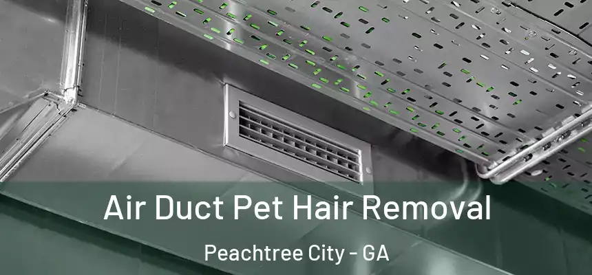  Air Duct Pet Hair Removal Peachtree City - GA