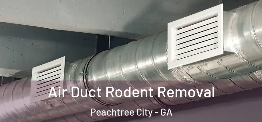  Air Duct Rodent Removal Peachtree City - GA