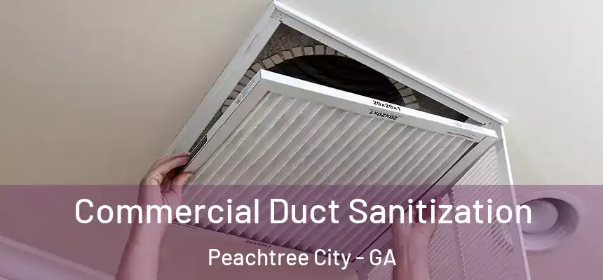  Commercial Duct Sanitization Peachtree City - GA