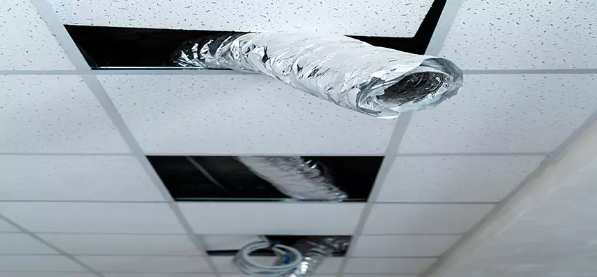 Affordable HVAC Sanitizing After Pest Removal in Peachtree City