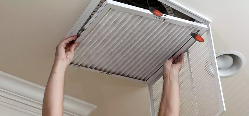 Our Insect Removal from Air Ducts Services in Peachtree City, GA