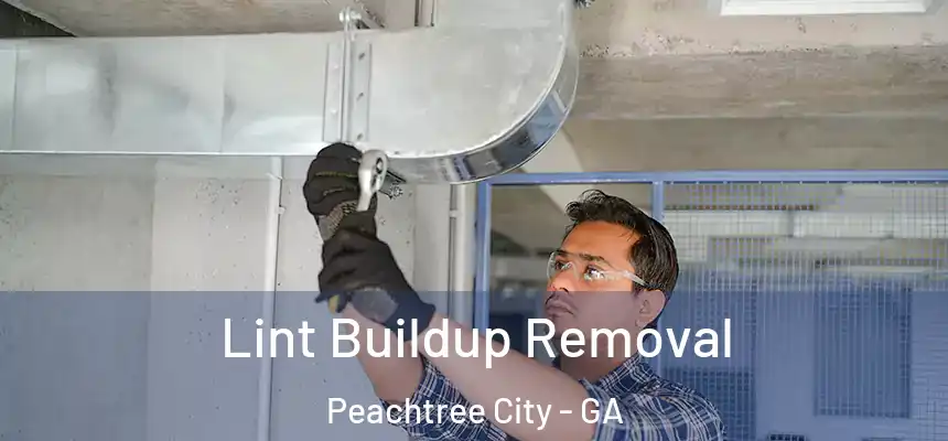  Lint Buildup Removal Peachtree City - GA