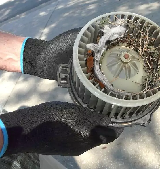 About Air Duct Mice Removal in Peachtree City, GA