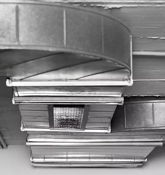 Professional Air Duct Pest Removal in Peachtree City, GA