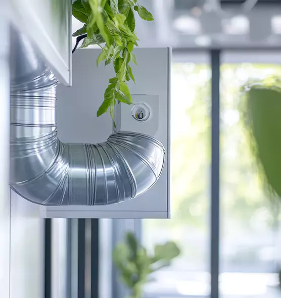 Professional Eco-Safe Dryer Vent Cleaning in Peachtree City, GA