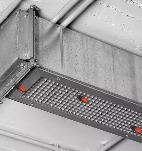 Affordable Insect Removal from Air Ducts in Peachtree City, GA