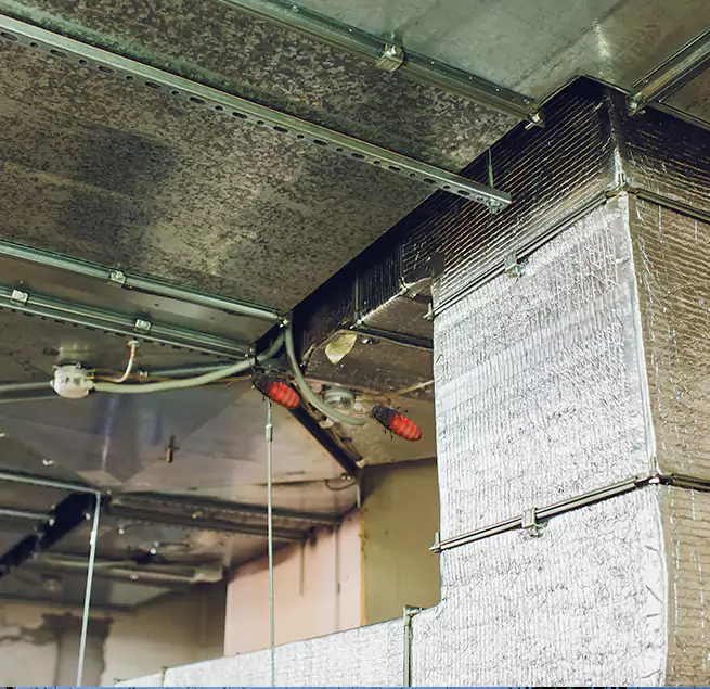 Why Homeowners & Businesses Trust Us in Peachtree City, GA?