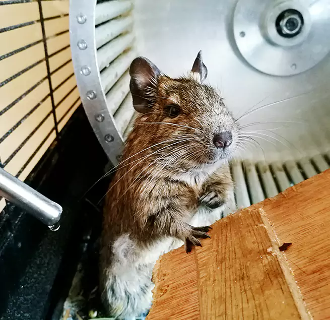 Why Homeowners & Businesses Trust Us Peachtree City, GA