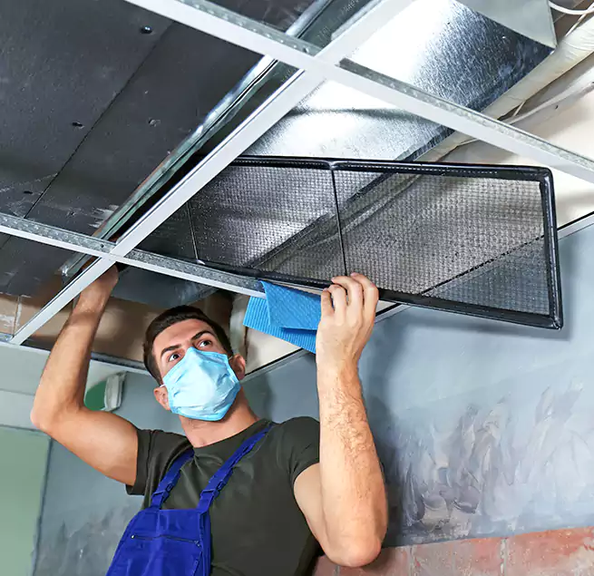 Why Homeowners Businesses Trust Us in Peachtree City, GA