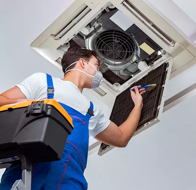 Why Homeowners & Businesses Trust Us in Peachtree City, GA