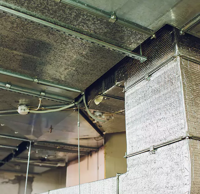 Why Homeowners & Businesses Trust Us in Peachtree City, GA?